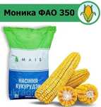 Насіння кукурудзи Моніка ФАО 350