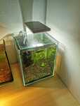 Akwarium Aquael Shrimp Set White