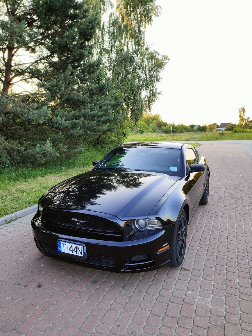 Ford Mustang V 2014r. 3.7 V6 manual