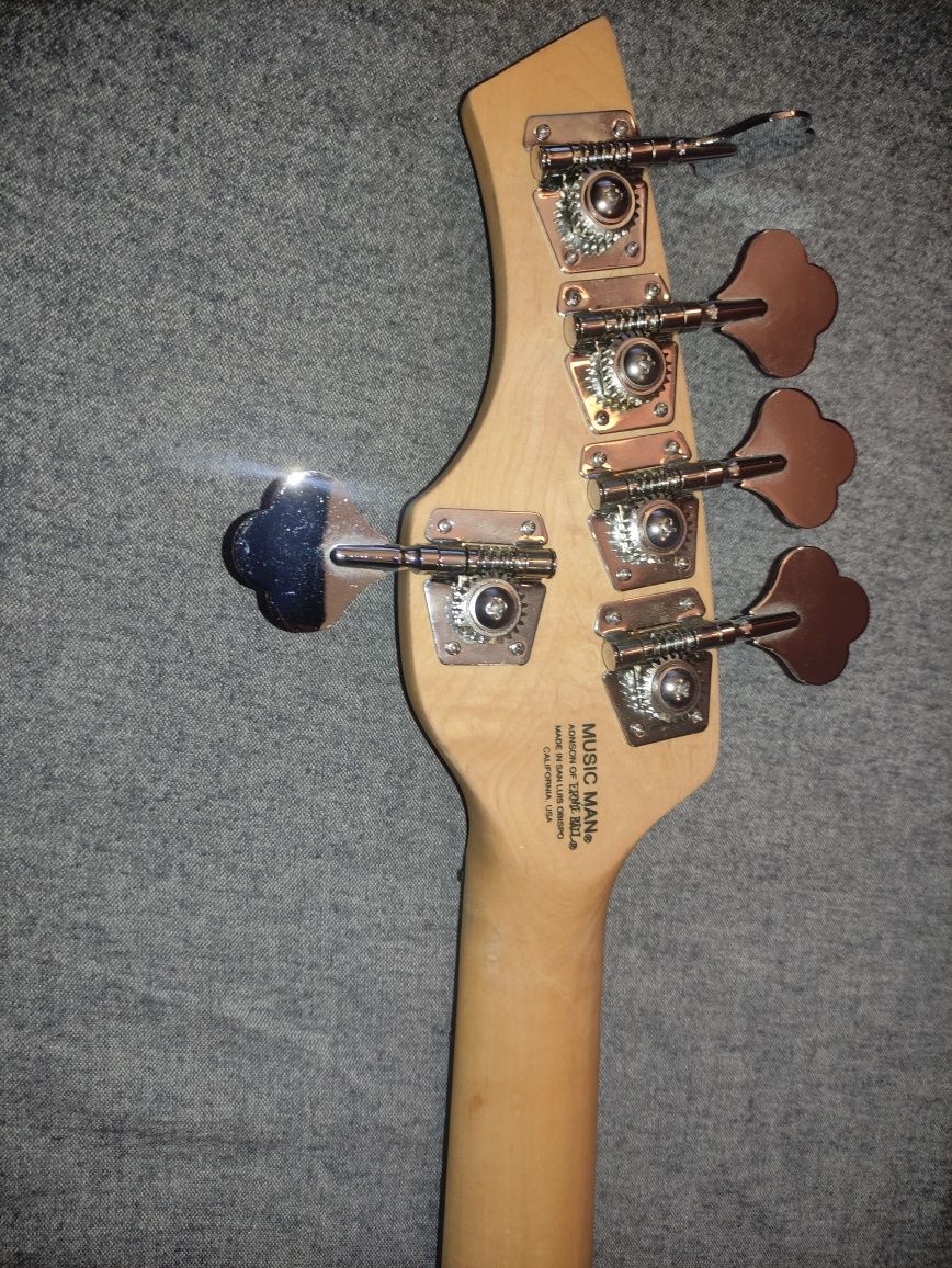 Music Man Bongo Gitara basowa 5 pięciostrunowa  + gratis