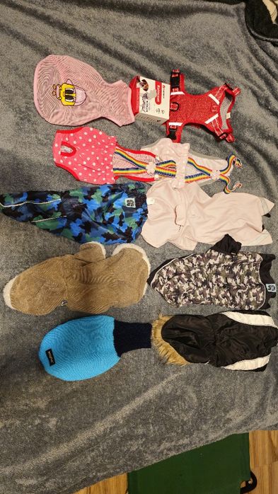 Ubranka, ubranko dla psa