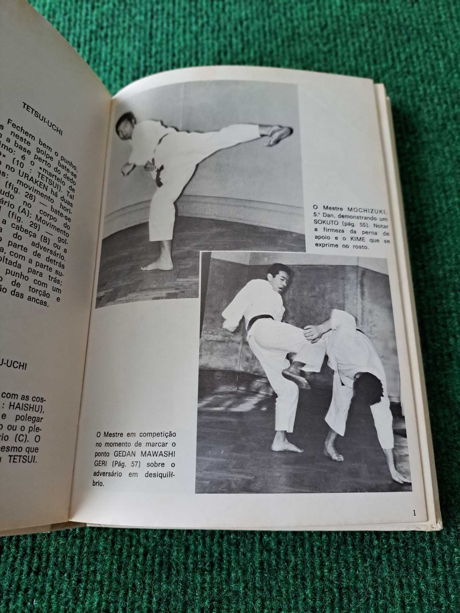 O Karate (Técnica Wado-Ryu)