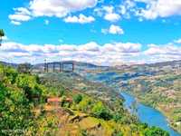 Quinta 1,3ha - Vista para o rio Douro