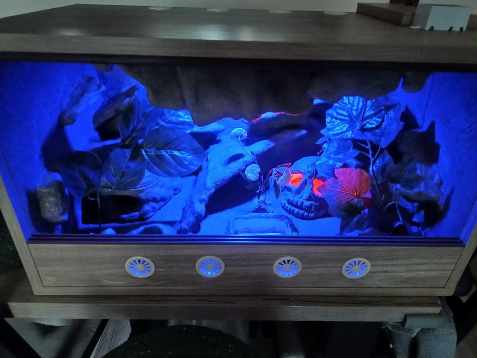 Terrarium z płyty meblowej