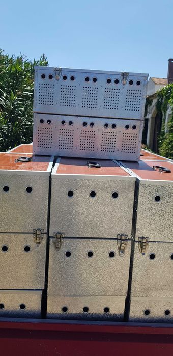 Caixas Transporte  pombos de vara com bebedouros individuais...