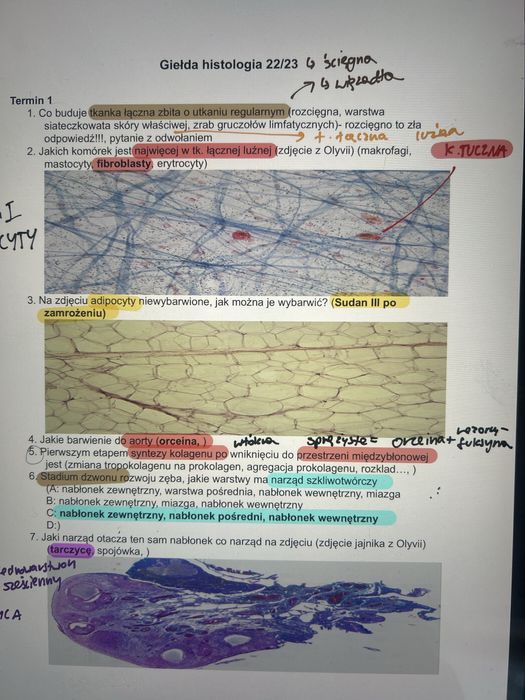 Notatki-umed stomatologia