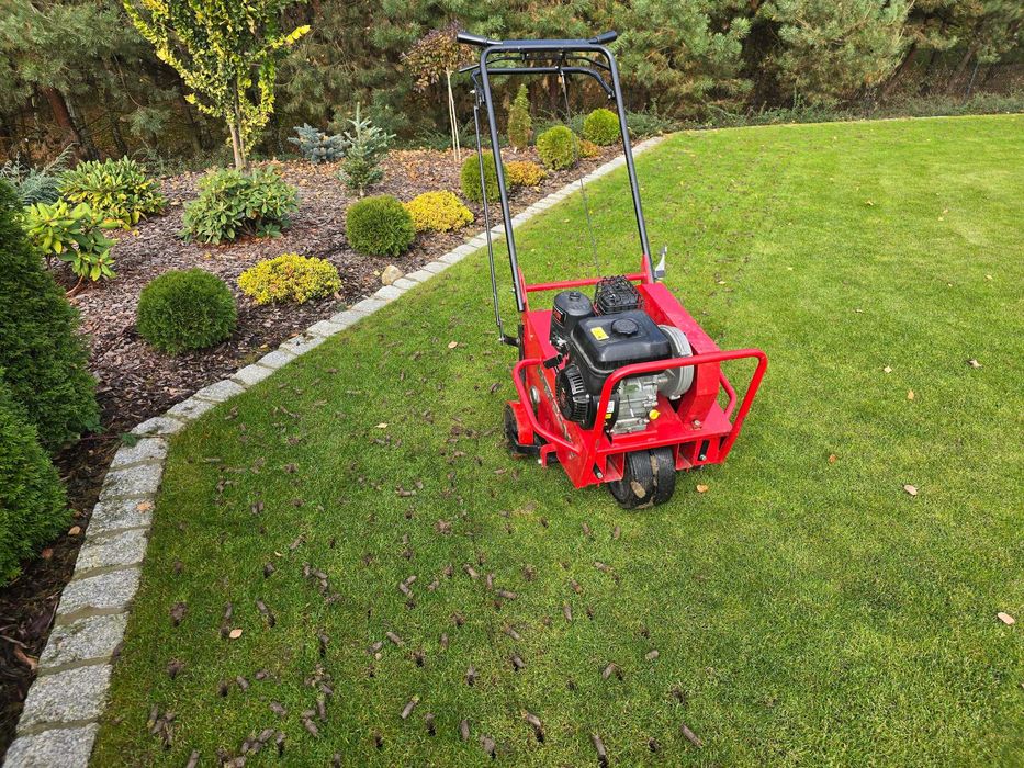 Wynajem wertykulator aerator spalinowy wypożyczalnia Wodzisław śląski