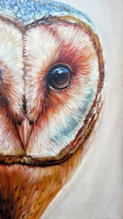 Płomykówka. Sowa. Obraz olejny, certyfikat. Cena -50% tylko do 7.12