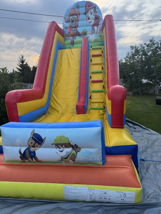 Dmuchaniec Pieski 2024