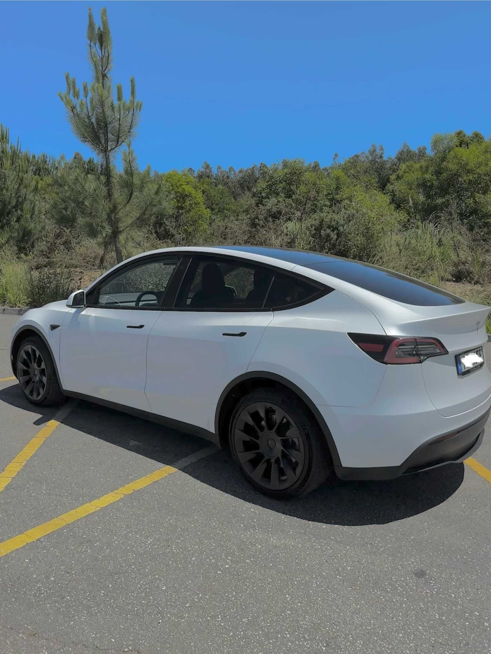 Tesla Y  RWD 2023