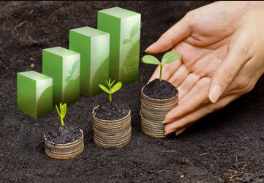 Explicações de Economia/Contabilidade (UNIVERSIDADE/SECUNDÁRIO)