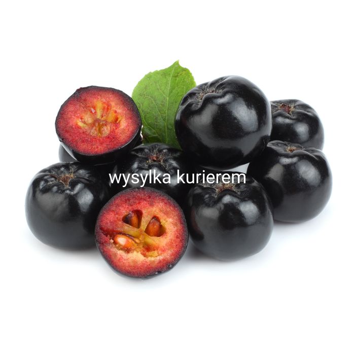 Aronia zrywana - dobrze sie transportuje