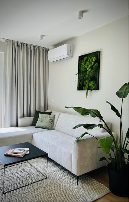 Mech Chrobotek w ramie 50 x 70cm lub 60 x 90cm różne rozmiary