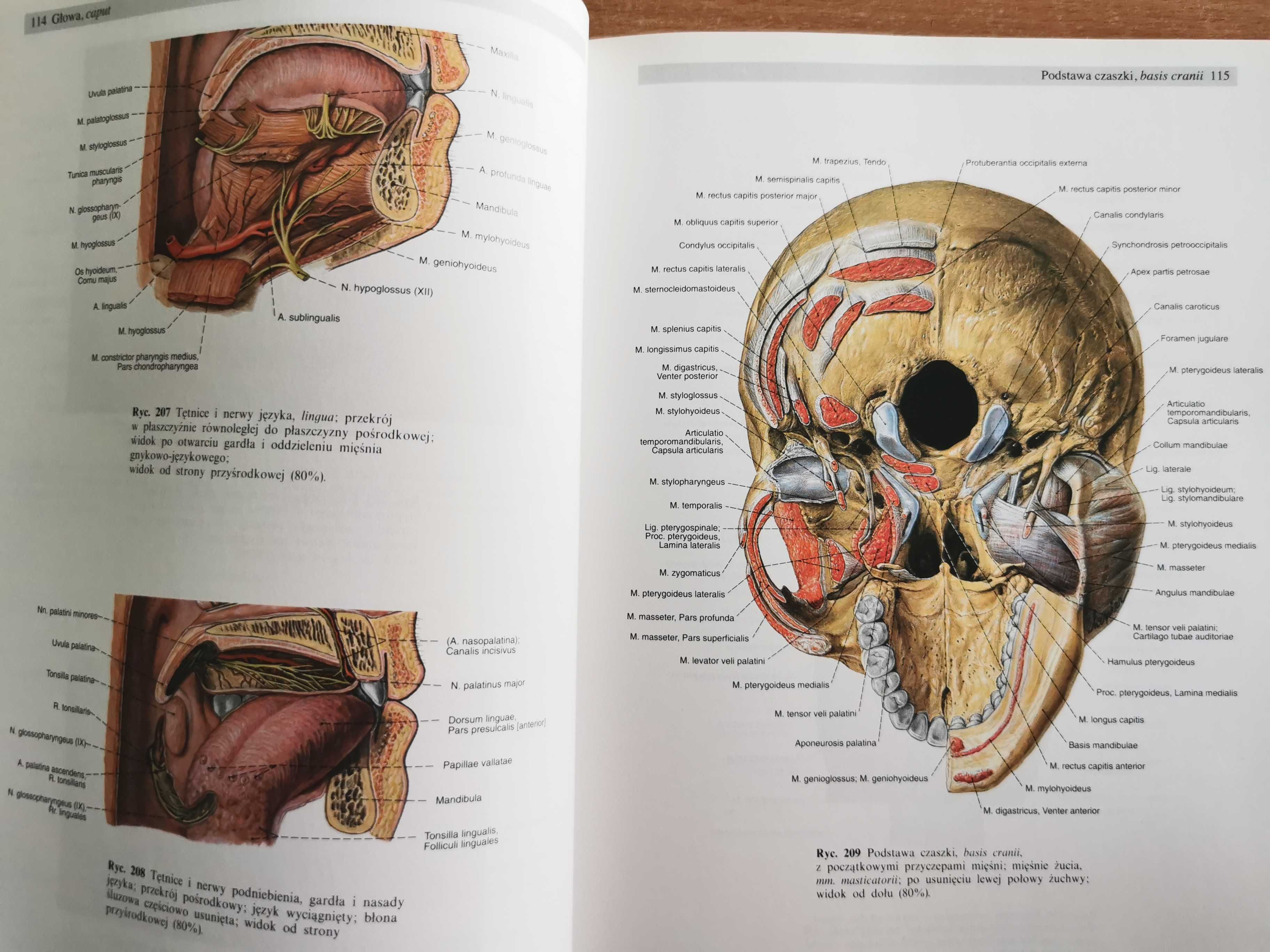 Sobotta Atlas anatomii człowieka 1, 2 t.