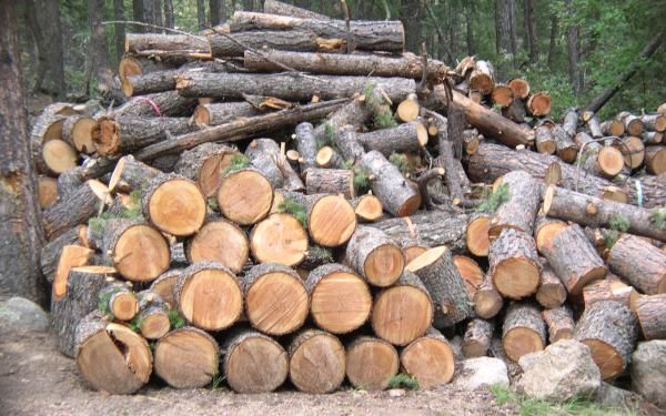 Продам дрова не дорого от 1000 гр- колотые, чурка, метраж. Доставка