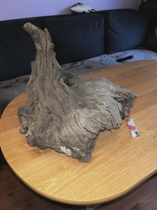 Duży korzeń do Terrarium/Akwarium