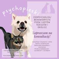 Zoopsycholog/behawiorysta psów i kotów Rzeszów i okolice