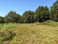Terreno com projecto em Vilar de Mouros