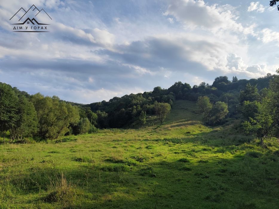 Продаж земельної ділянки 1.6 га. з гарним краєвидом у с. Шешори