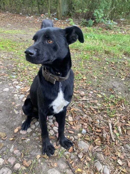 Spokojny Lopez czeka na dom