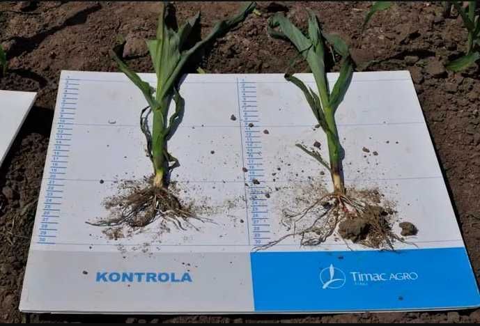 Nawóz EUROFERTIL TOP 49 NPS Worki 50 kg , Polidap, fosforan amonu