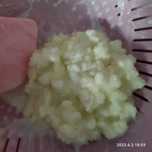 Kefir de leite/bichinho do iogurte