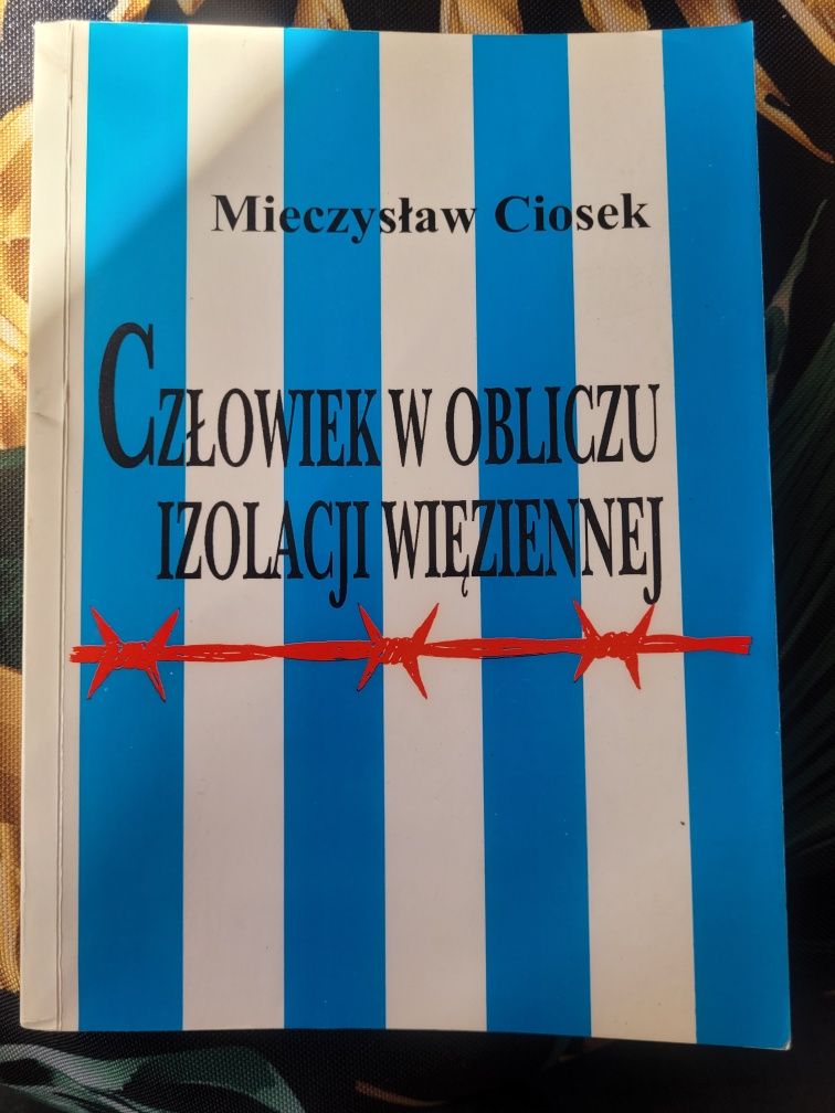 Człowiek w obliczu izolacji więziennej