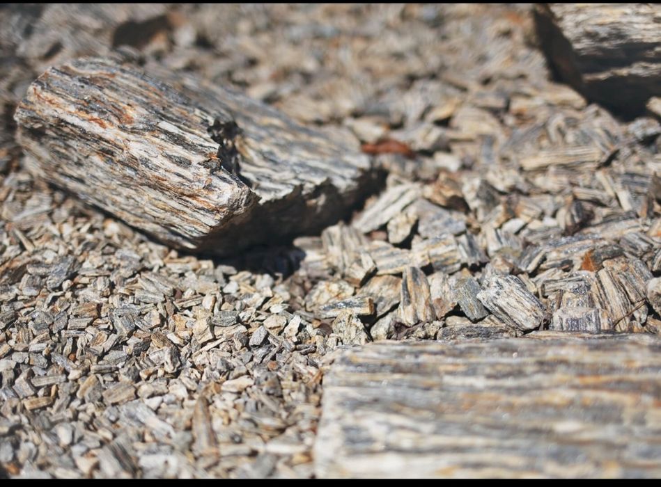 Gnejsy Kora Kamienna