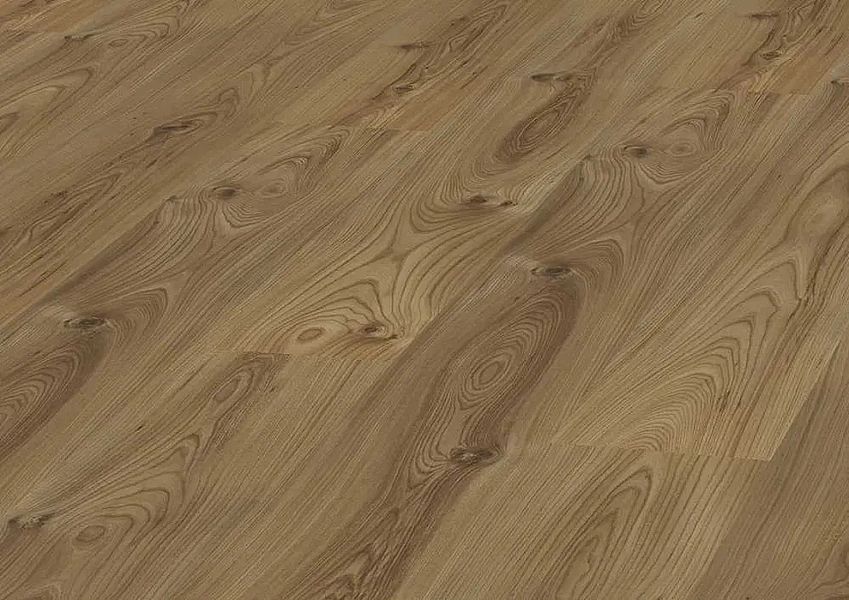 Panele podłogowe Outlet SWISS KRONO Wiąz Kanadyjski D738 AC4/8 mm