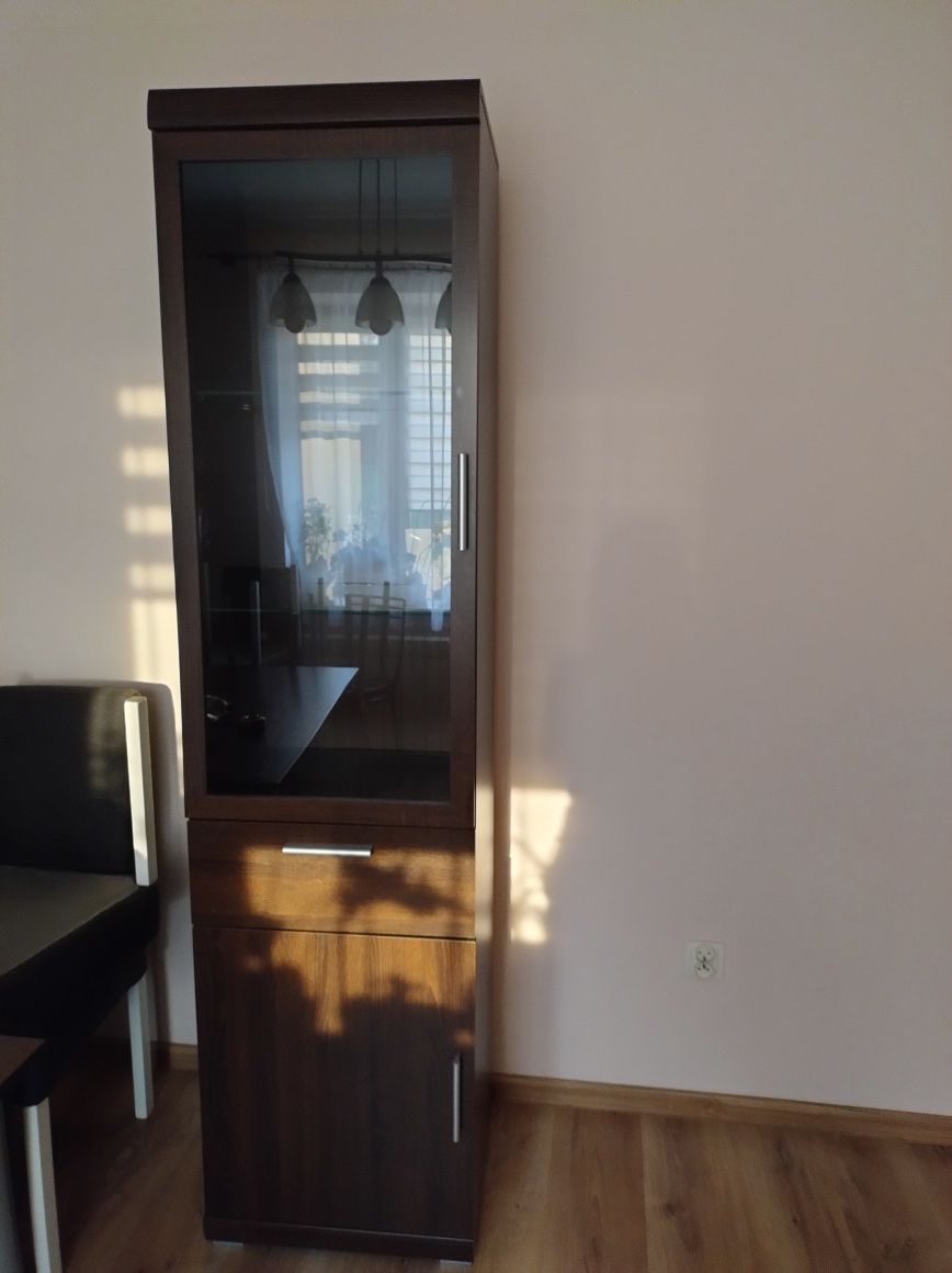 Witryna do salonu z podświetleniem