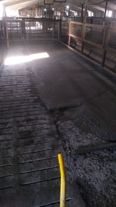 Выполняю строительные услуги