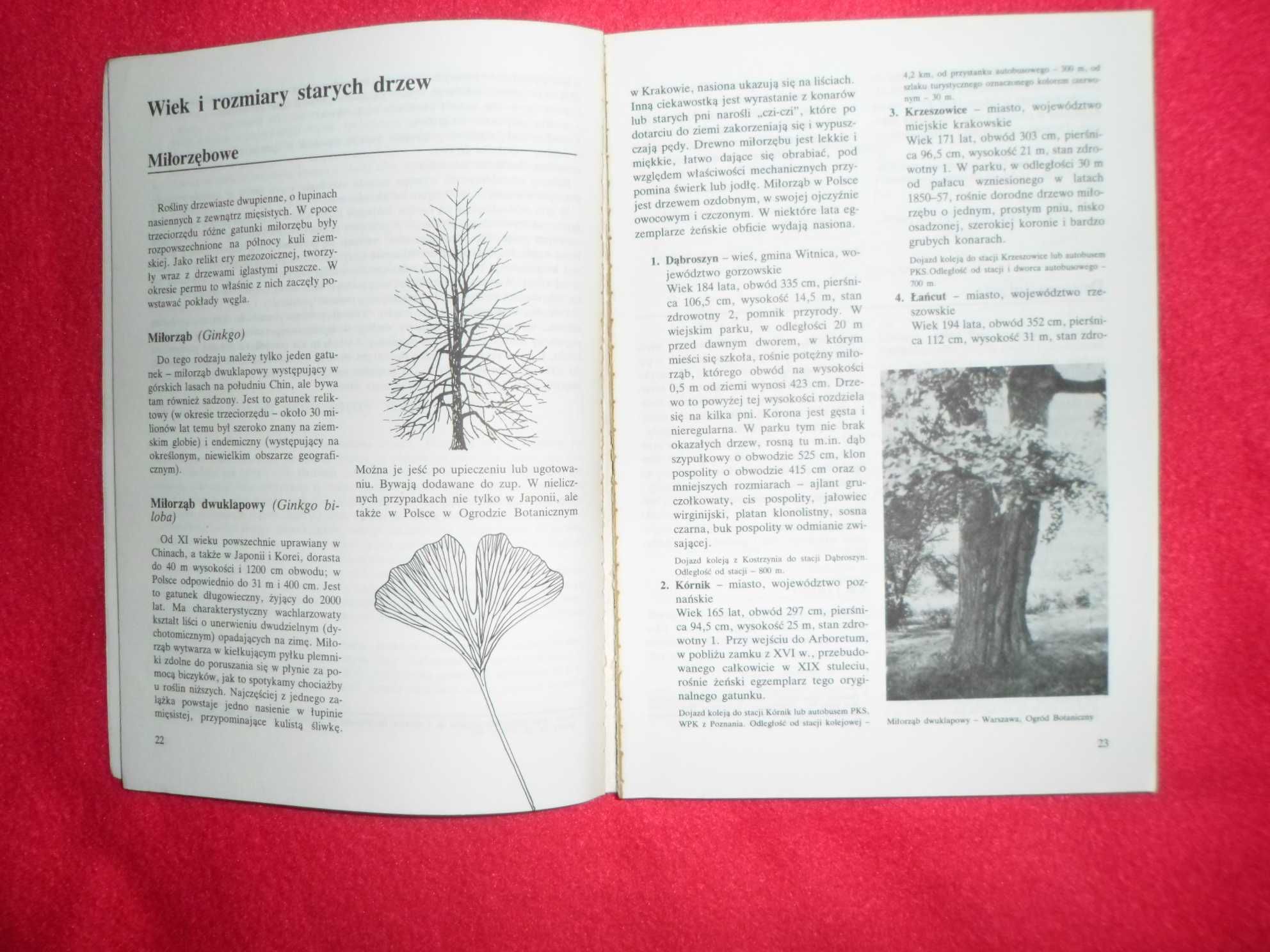Cezary Pacyniak - Najstarsze drzewa w Polsce Przewodnik