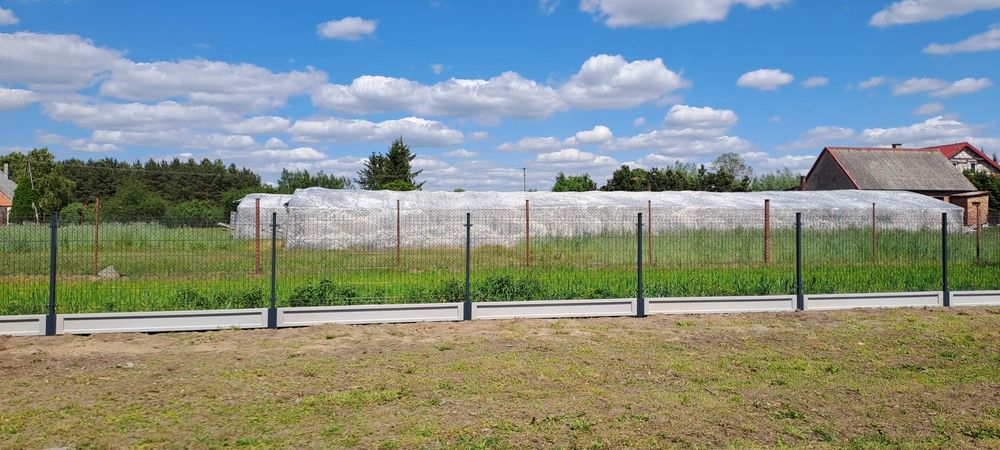 Panel 123cm , fi 4 , Ogrodzenia panelowe