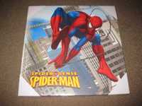 Quadro/Tela do "Homem Aranha (Spider Man)" Modelo 3