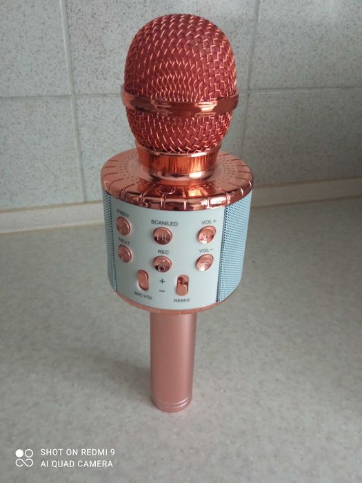 Дитячий мікрофон