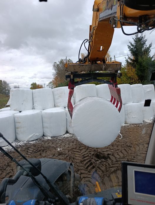 BELE Z kukurydzy BELE z wysłodki kiszonka kukurydzy kukurydza