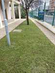 Trabalhos de jardinagem