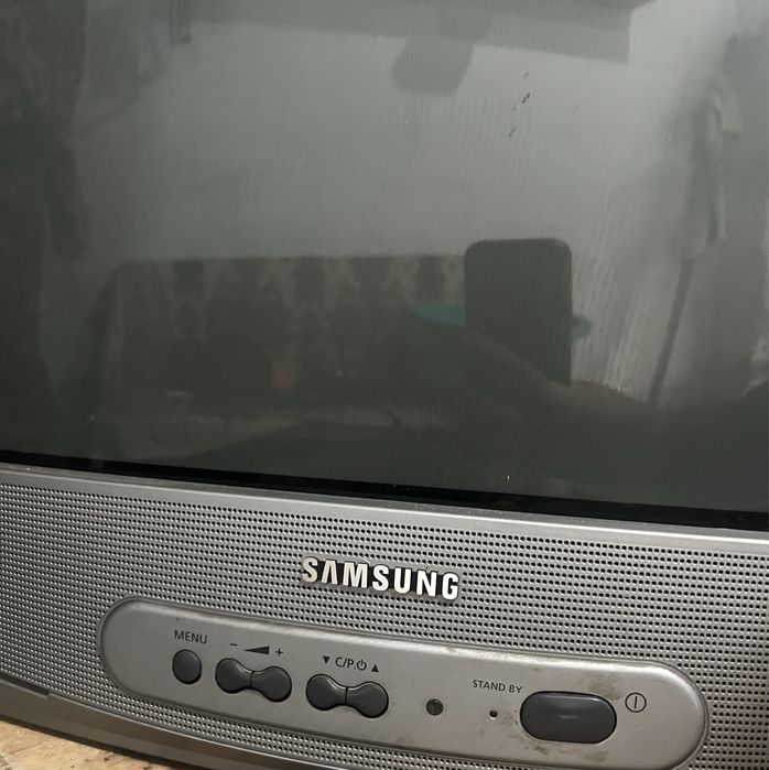 Телевізор Samsung CS-21F5R