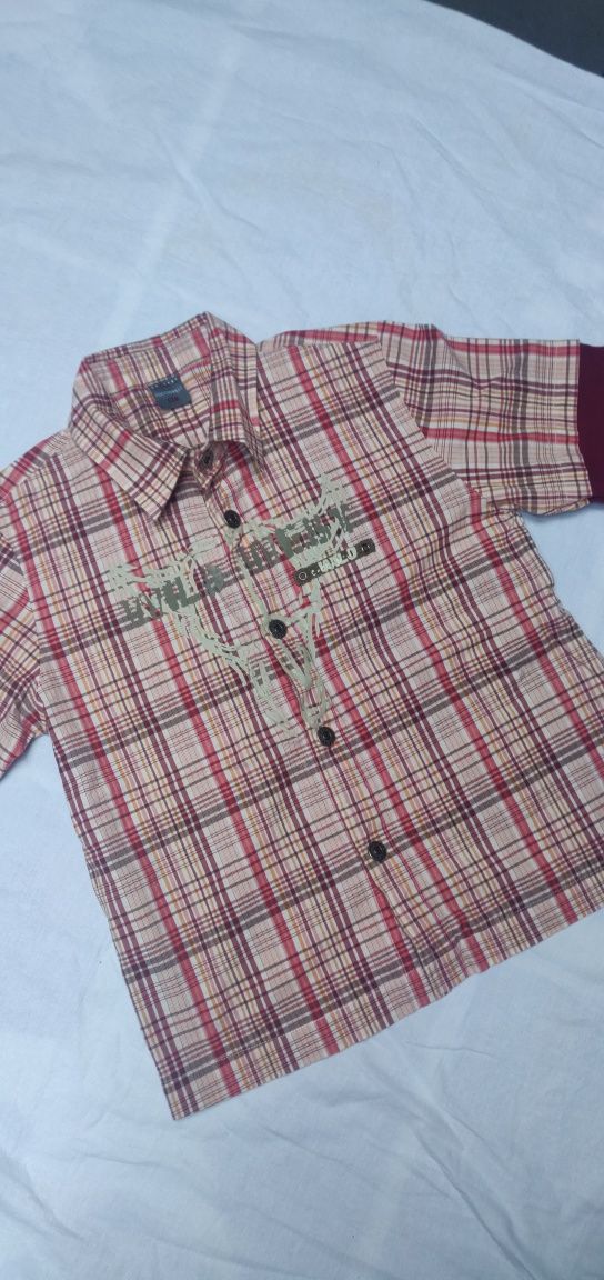 Coccodrillo koszula z krótkim rękawem kratka elegancka 128 szkoła