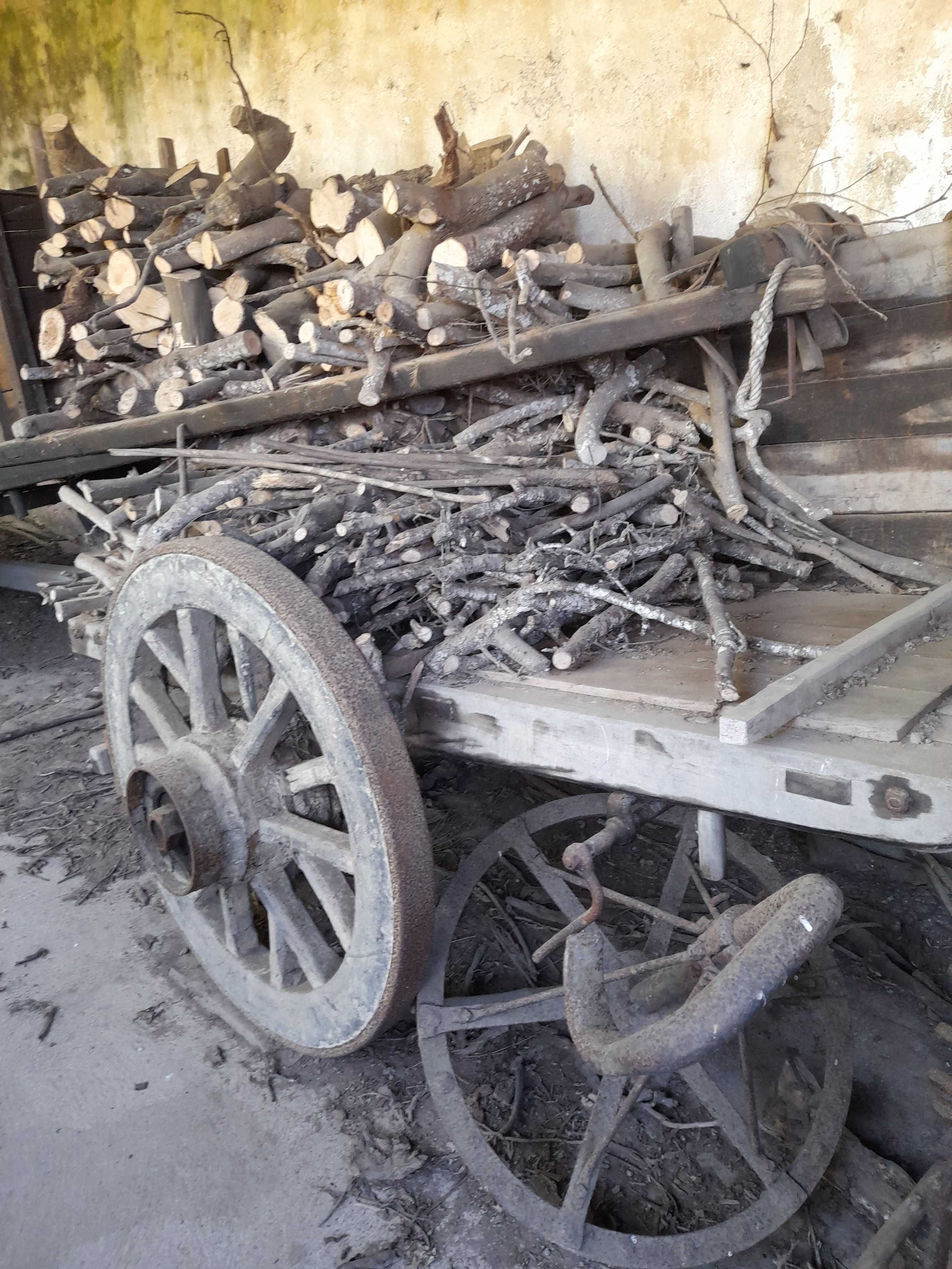 Carroça e carro de bois antigos