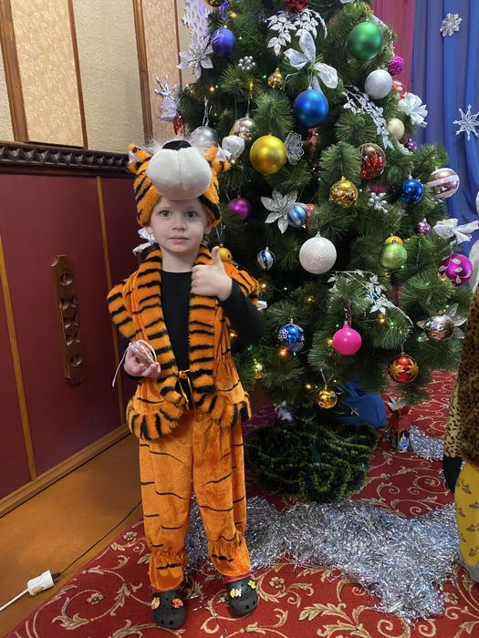 Новорічний Костюм тигра
