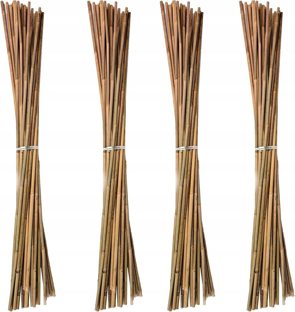 tyczka bambusowa 92 cm wysokość i średnica 4mm-8mm 25 szt