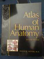 Atlas of Human Anatomy - Frank H. Netter
