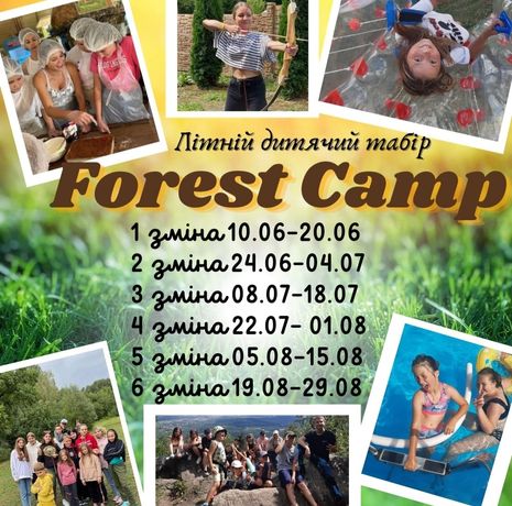 Дитячий табір в Карпатах Forest Camp