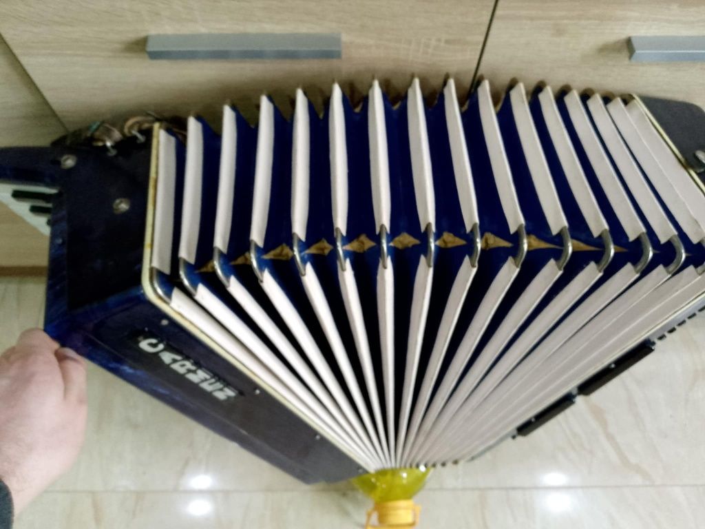 Akordeon 120 basow