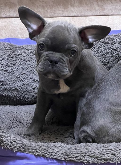 Хлопчик та дівчинка