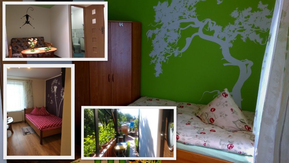 Willa 7 Kotów - apartament/pokoje - Karpacz/Karkonosze