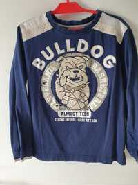 Bluzka z długim rękawem 134 koszulka buldog pies bokser longsleeve