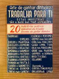 Arte de Ganhar Dinheiro - Trabalha para Ti - 20 Indústrias (p. grátis