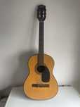 Guitarra acustica